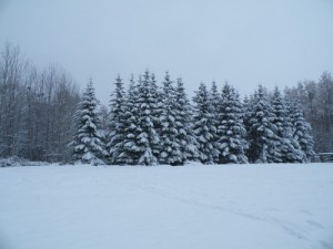 北海道6 北海道6