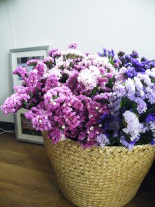 DSCF7225 DSCF7225