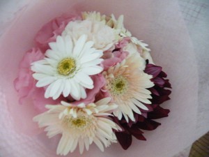 DSCF7489 DSCF7489