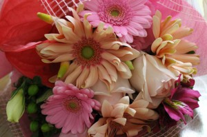 IMG_0145 IMG_0145