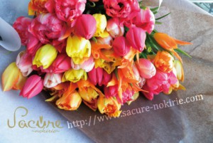postcard表 postcard表