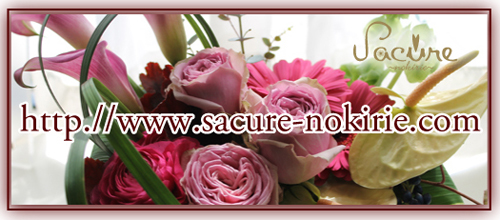 blog_hp